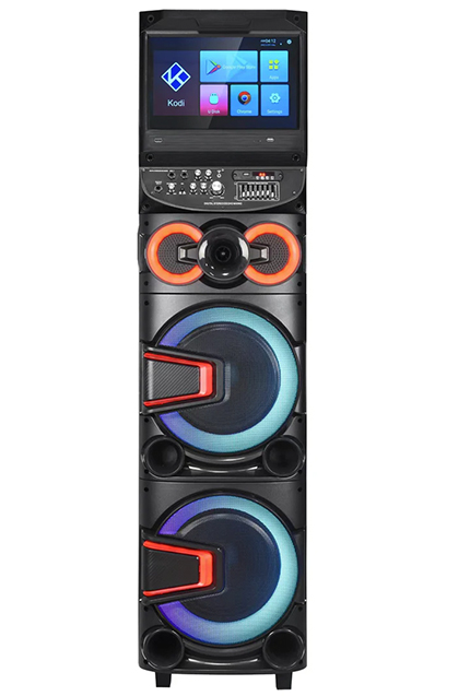 15 inch karaoke speaker with Bluetooth, touch screen, and trolley wheels