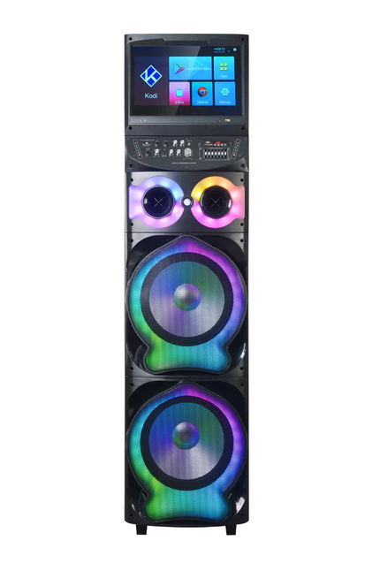 15 inch karaoke speaker with Bluetooth, touch screen, and trolley wheels