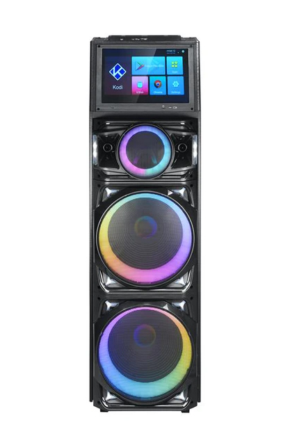 15 inch karaoke speaker with Bluetooth, touch screen, and trolley wheels